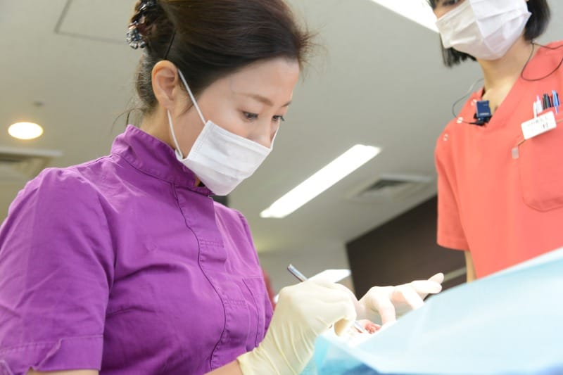 成人・小児矯正の匠